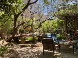 Outside garden area  at ChocolaTree Organic Oasis in Sedona