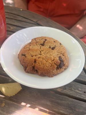   at ChocolaTree Organic Oasis in Sedona