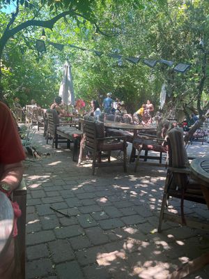   at ChocolaTree Organic Oasis in Sedona