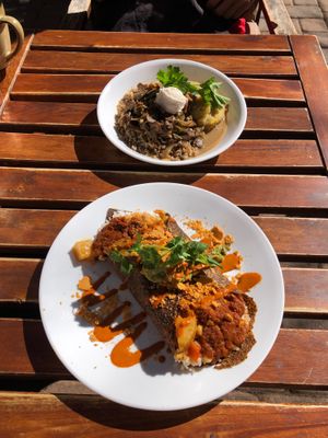  at ChocolaTree Organic Oasis in Sedona