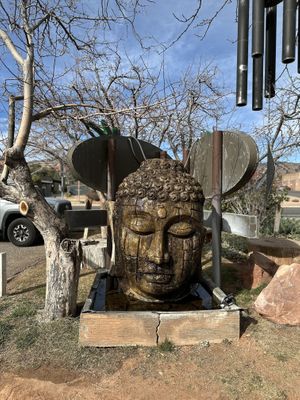   at ChocolaTree Organic Oasis in Sedona