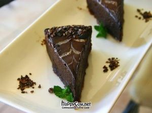 Chocolate Ganache - one of many decadent raw desserts! at ChocolaTree Organic Oasis in Sedona