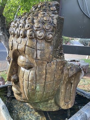 Setting  at ChocolaTree Organic Oasis in Sedona