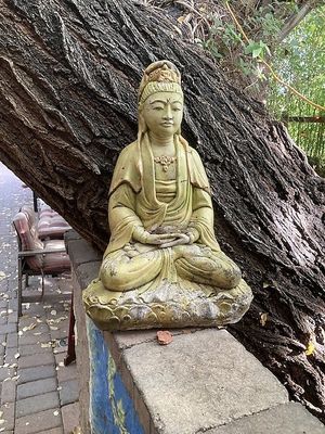 Courtyard  at ChocolaTree Organic Oasis in Sedona
