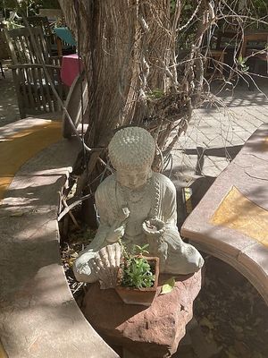 Courtyard  at ChocolaTree Organic Oasis in Sedona