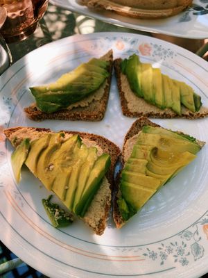 avocado toast  at ChocolaTree Organic Oasis in Sedona