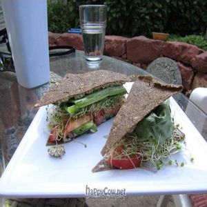  at ChocolaTree Organic Oasis in Sedona