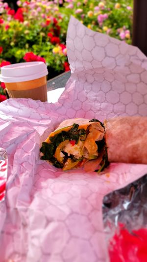 Tofu breakfast burrito. Nice melted cheese! at Red Scooter Deli in Paso Robles