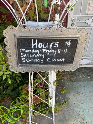 Not open today😞 at Bless Your Heart Bakery in Paso Robles