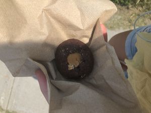 peanut butter cacao ball at Ecobean + Greens in South Burlington