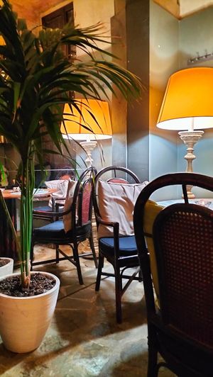 Il locale #Veganuary at L'OV Osteria Vegetariana in Florence