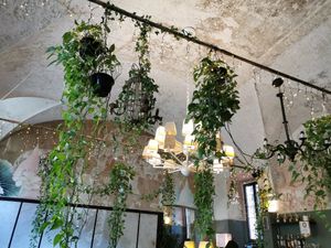 Inside #Veganuary at L'OV Osteria Vegetariana in Florence