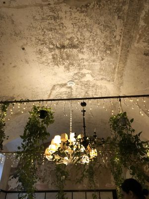 Beautiful room   at L'OV Osteria Vegetariana in Florence