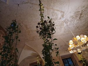  at L'OV Osteria Vegetariana in Florence