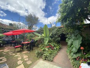Shared garden at Loving Hut - San Cristobal in San Cristobal De Las Casas