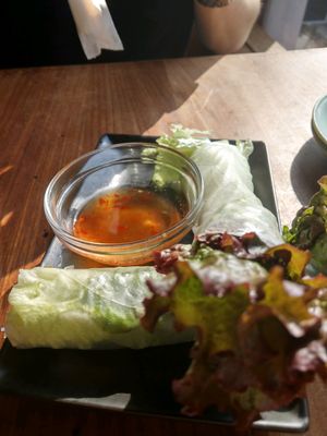 Spring rolls at Monsoon Cafe - Aqua City Odaiba in Tokyo