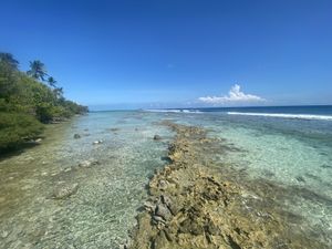 View  at Just Veg in Kanifushi