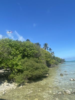 View  at Just Veg in Kanifushi
