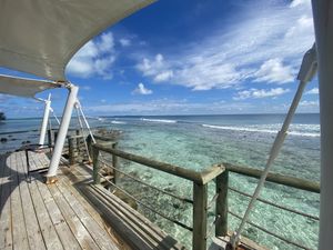 So beautiful  at Just Veg in Kanifushi