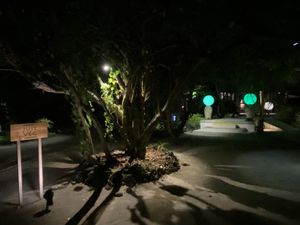 Entrance by night  at Just Veg in Kanifushi