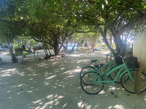 Entrance  at Just Veg in Kanifushi