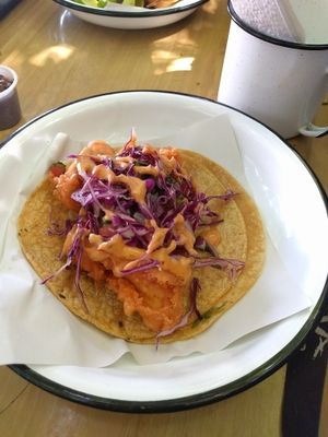 fish taco at La Taqueria Vegiee in Tijuana