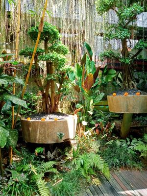 Some of the green space Inside at Clear Cafe in Ubud