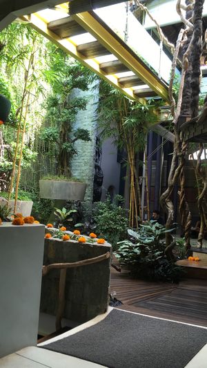 Beautiful setting at Clear Cafe in Ubud