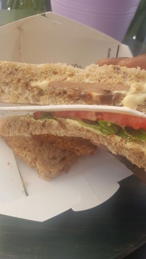 Vegan cheese sandwich at Vegan Nation in Athens