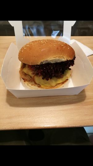Burger at Vegan Nation in Athens