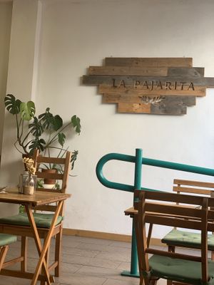 Hermoso lugar ☺️✨ at La Pajarita in Tenerife