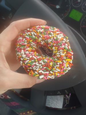 Vegan/GF Sprinkle at Wake N Bake Donuts in Carolina Beach