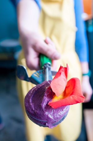 Sugar Free IceCream  at Joylato in Reykjavik