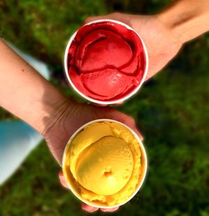 Sorbets at Joylato in Reykjavik