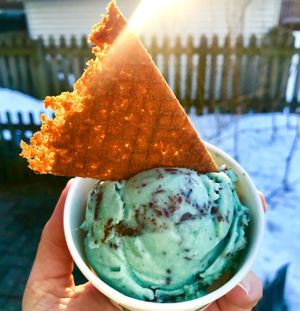 Mint-Chocolate Vegan deliciousness  at Joylato in Reykjavik