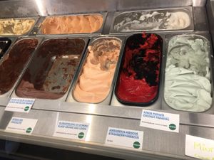 Vegan gelato at Joylato in Reykjavik