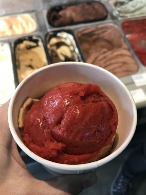 Framboesa at Joylato in Reykjavik