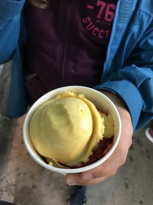 Manga at Joylato in Reykjavik