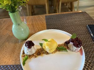 Vegan Pannacotta de Tofu  at TIME Vegetarian Kitchen in Santo Domingo