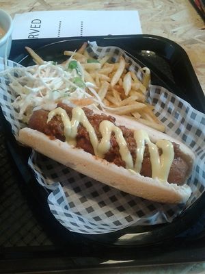 The chilli cheez hot dog with fries and slaw at Grumpy Panda Slice Shop & Deli in Gateshead