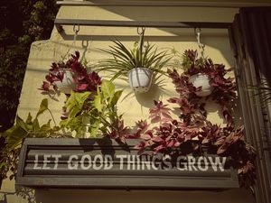Love the plant action   at The Juicery Cafe in Pokhara