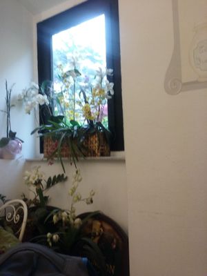 Inside at Dolce Pisa in Pisa