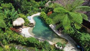 Natural no chemical pool. outside guests are welcome to have a swim before or after lunch at Sarinbuana Eco Lodge Restaurant in Tabanan