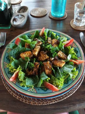 Tempeh Salad (comes with homemade red rice bread) at Sarinbuana Eco Lodge Restaurant in Tabanan