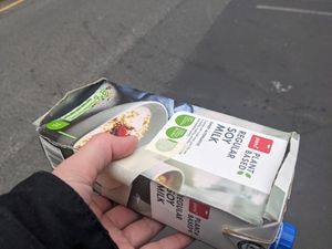 Takeout container at Let Them Eat Vegan in Dunedin