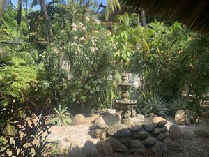 Garden at the back at Spirulina in Puerto Escondido