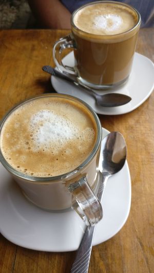 Almond milk lattes at Spirulina in Puerto Escondido