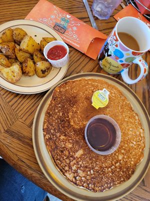  at The Toasted Owl Cafe - S Mikes Pike St in Flagstaff