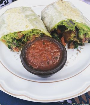 Vegan breakfast burrito!  at The Toasted Owl Cafe - S Mikes Pike St in Flagstaff