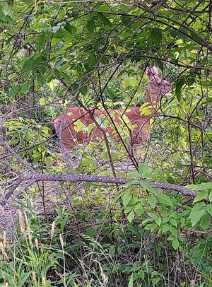 She was there on our last two visits! at Garden Cafe of Woodstock in Woodstock